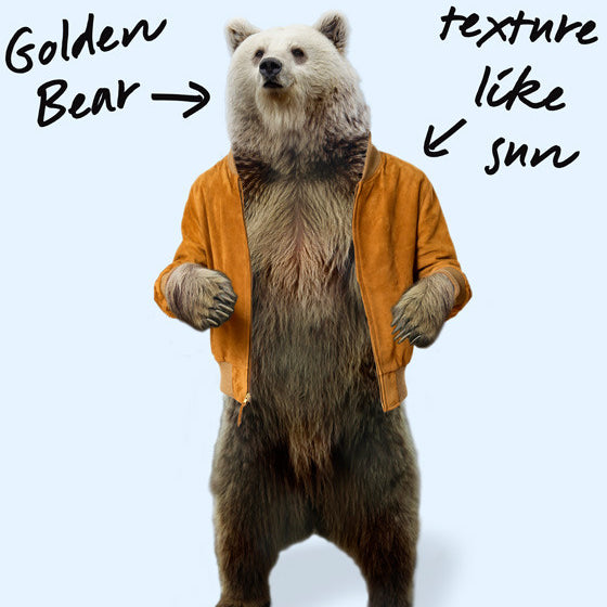 GOLDEN BEAR FOR OI POLLOI Fall 2013